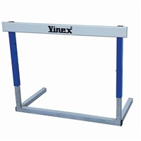 Vinex Junior Hurdle - Magnetic